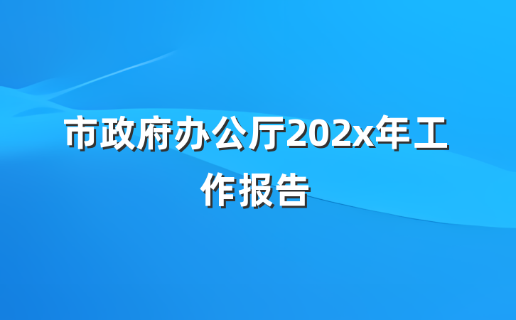 市政府办公厅202x年工作报告
