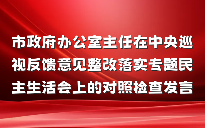 市政府办公室主任在中央巡视反馈意见整改落实专题民主生活会上的对照检查发言