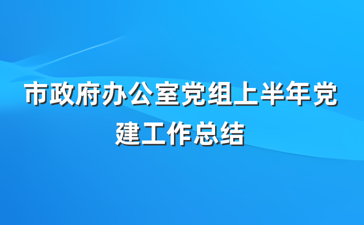 市政府办公室党组上半年党建工作总结