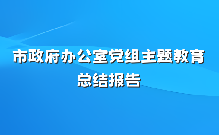 市政府办公室党组主题教育总结报告