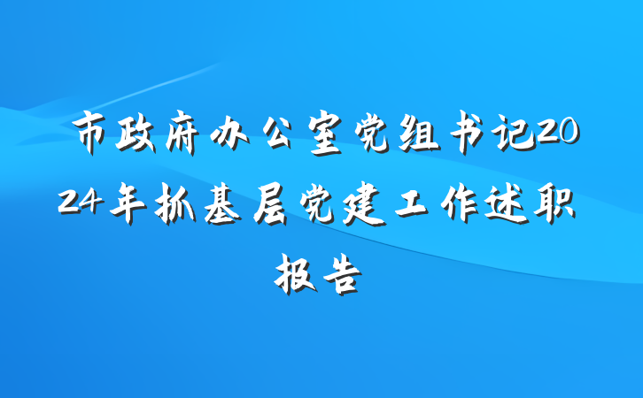 市政府办公室党组书记2024年抓基层党建工作述职报告