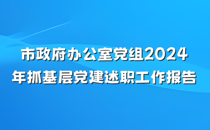 市政府办公室党组2024年抓基层党建述职工作报告