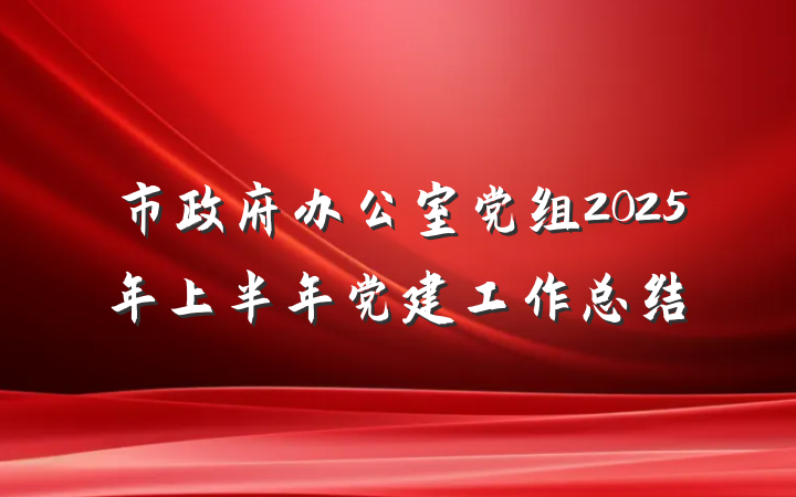 市政府办公室党组2025年上半年党建工作总结