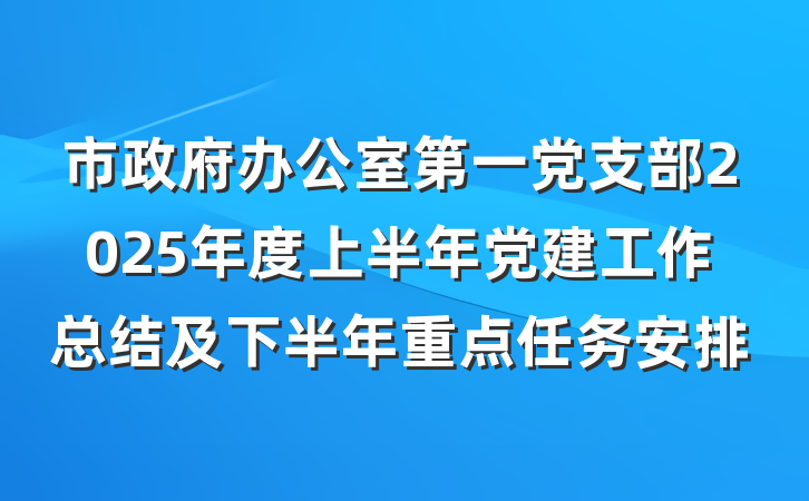 市政府办公室第一党支部2025年度上半年党建工作总结及下半年重点任务安排