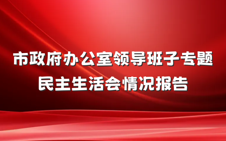 市政府办公室领导班子专题民主生活会情况报告