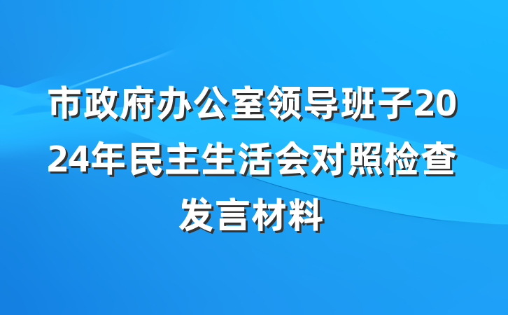 市政府办公室领导班子2024年民主生活会对照检查发言材料