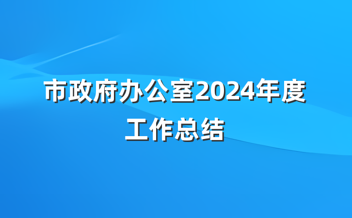 市政府办公室2024年度工作总结