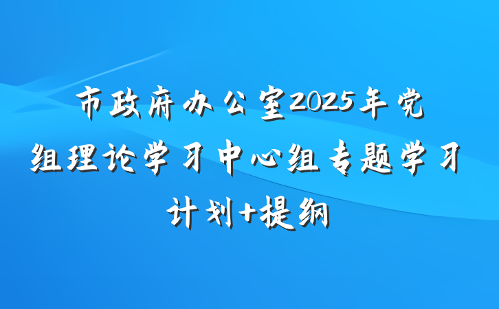 市政府办公室2025年党组理论学习中心组专题学习计划 提纲