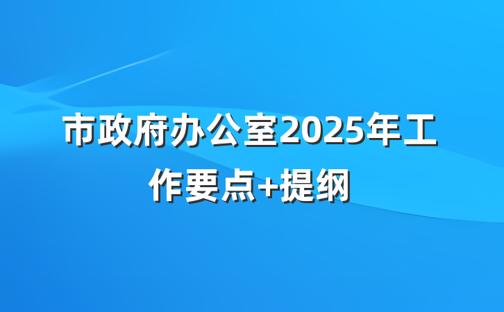 市政府办公室2025年工作要点 提纲