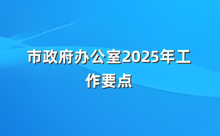 市政府办公室2025年工作要点