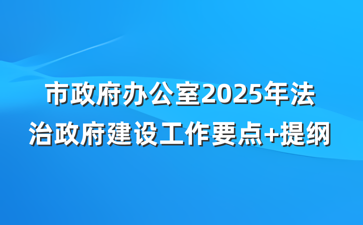 市政府办公室2025年法治政府建设工作要点 提纲