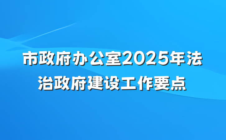 市政府办公室2025年法治政府建设工作要点