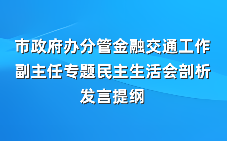 市政府办分管金融交通工作副主任专题民主生活会剖析发言提纲