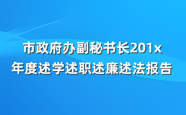 市政府办副秘书长201x年度述学述职述廉述法报告