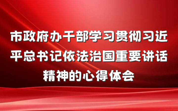 市政府办干部学习贯彻习近平总书记依法治国重要讲话精神的心得体会