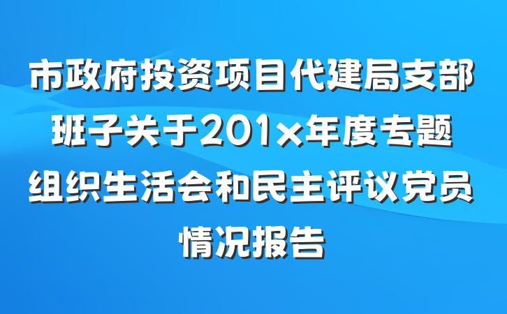 市政府投资项目代建局支部班子关于201x年度专题组织生活会和民主评议党员情况报告