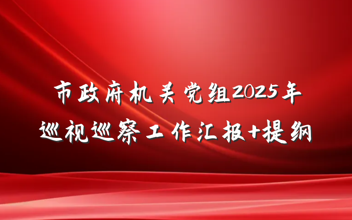 市政府机关党组2025年巡视巡察工作汇报 提纲