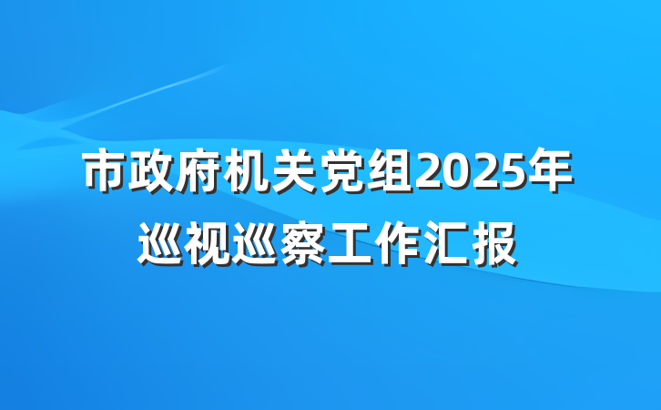 市政府机关党组2025年巡视巡察工作汇报