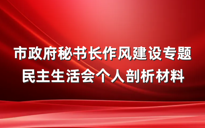 市政府秘书长作风建设专题民主生活会个人剖析材料
