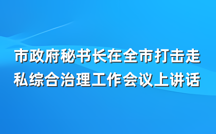 市政府秘书长在全市打击走私综合治理工作会议上讲话