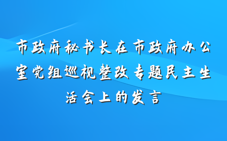 市政府秘书长在市政府办公室党组巡视整改专题民主生活会上的发言