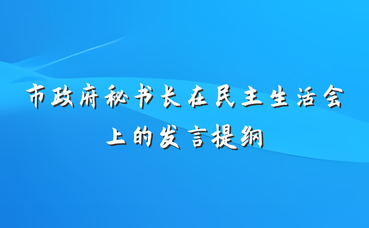 市政府秘书长在民主生活会上的发言提纲
