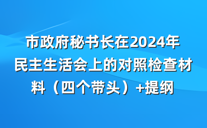 市政府秘书长在2024年民主生活会上的对照检查材料（四个带头） 提纲
