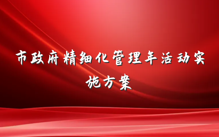 市政府精细化管理年活动实施方案