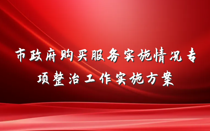市政府购买服务实施情况专项整治工作实施方案