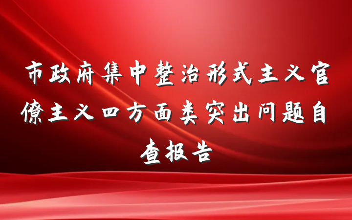 市政府集中整治形式主义官僚主义四方面类突出问题自查报告