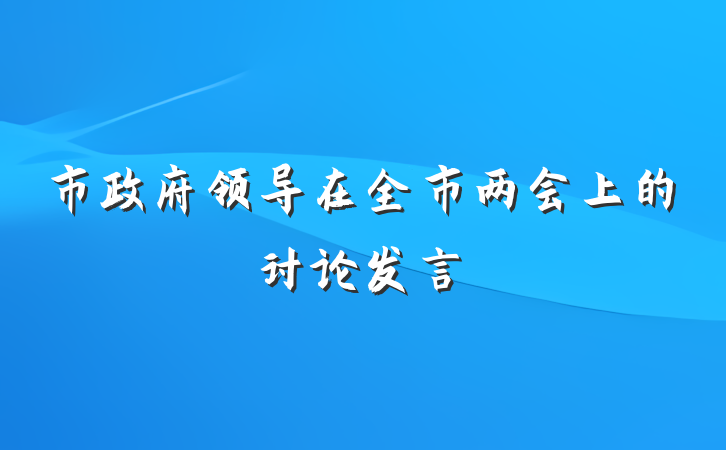 市政府领导在全市两会上的讨论发言