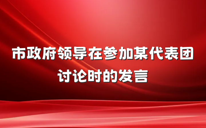 市政府领导在参加某代表团讨论时的发言