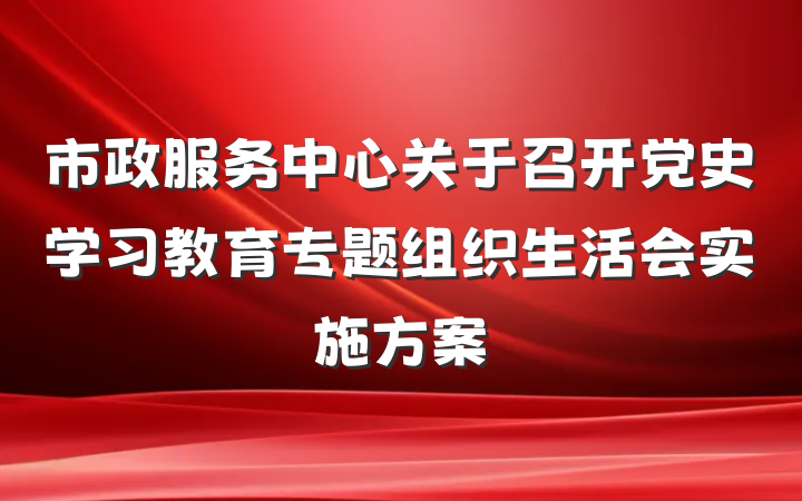 市政服务中心关于召开党史学习教育专题组织生活会实施方案