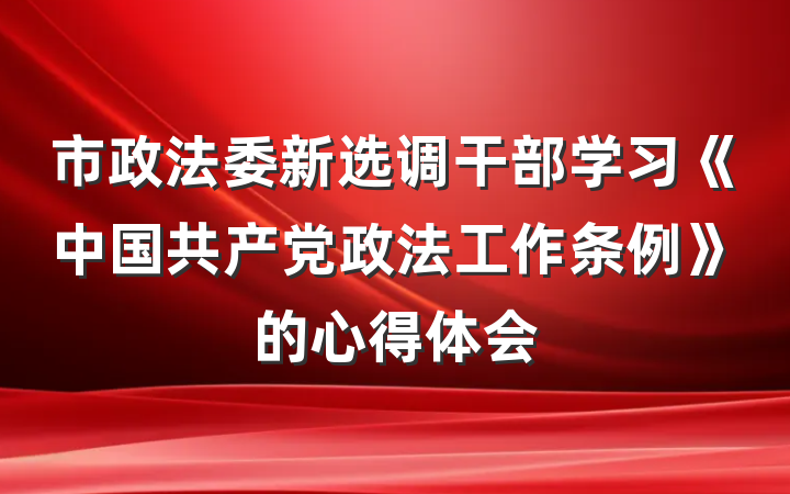 市政法委新选调干部学习《中国共产党政法工作条例》的心得体会