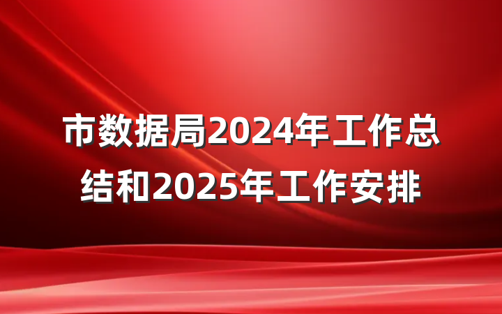 市数据局2024年工作总结和2025年工作安排