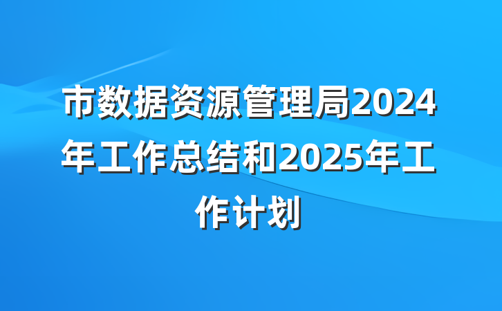 市数据资源管理局2024年工作总结和2025年工作计划