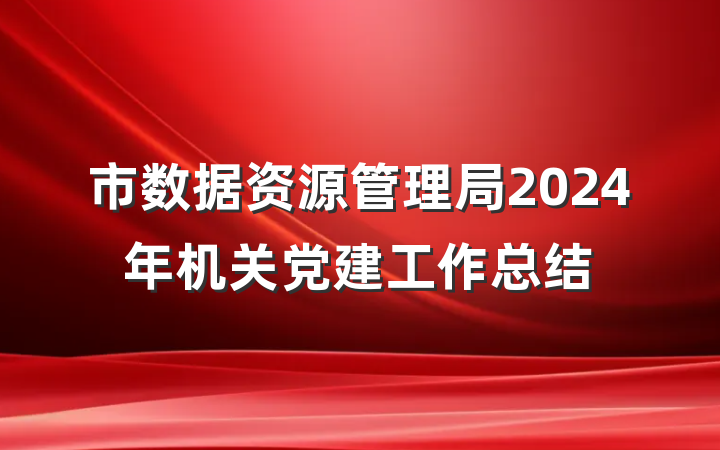 市数据资源管理局2024年机关党建工作总结