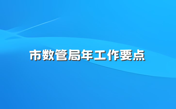 市数管局年工作要点