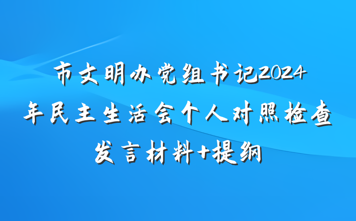 市文明办党组书记2024年民主生活会个人对照检查发言材料 提纲