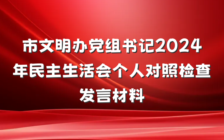 市文明办党组书记2024年民主生活会个人对照检查发言材料
