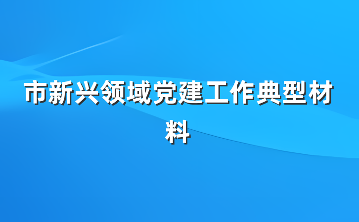 市新兴领域党建工作典型材料