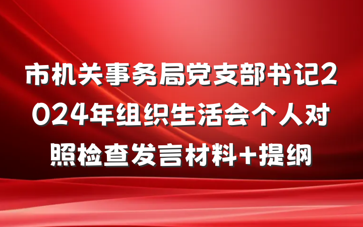 市机关事务局党支部书记2024年组织生活会个人对照检查发言材料 提纲