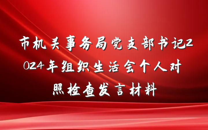 市机关事务局党支部书记2024年组织生活会个人对照检查发言材料