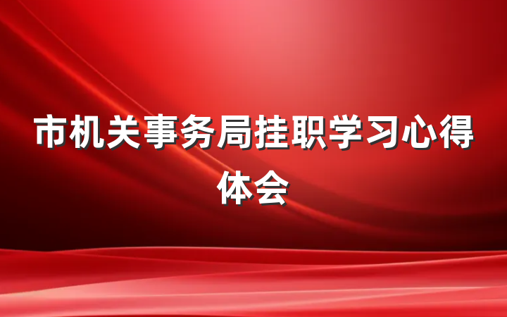 市机关事务局挂职学习心得体会