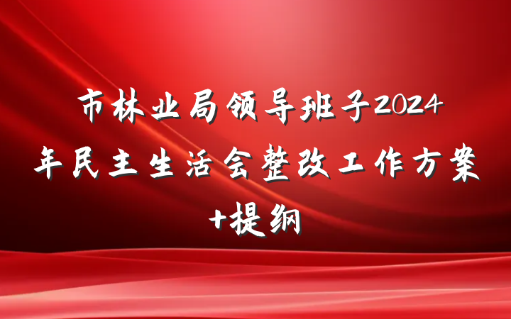 市林业局领导班子2024年民主生活会整改工作方案 提纲
