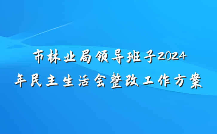 市林业局领导班子2024年民主生活会整改工作方案