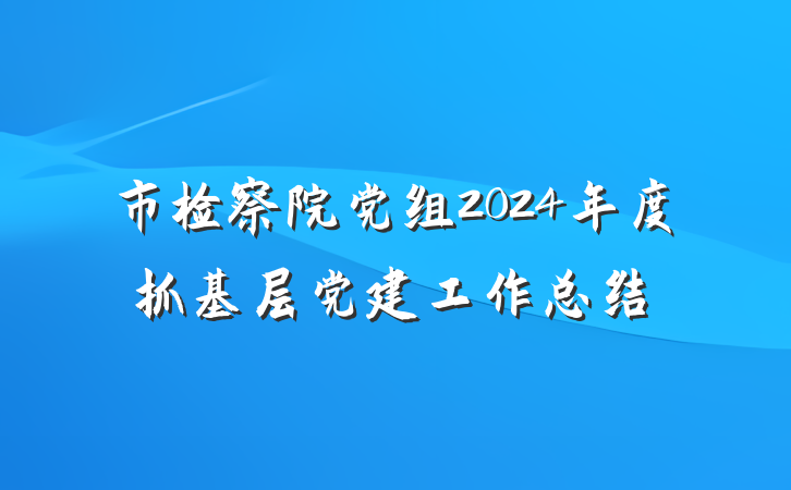 市检察院党组2024年度抓基层党建工作总结