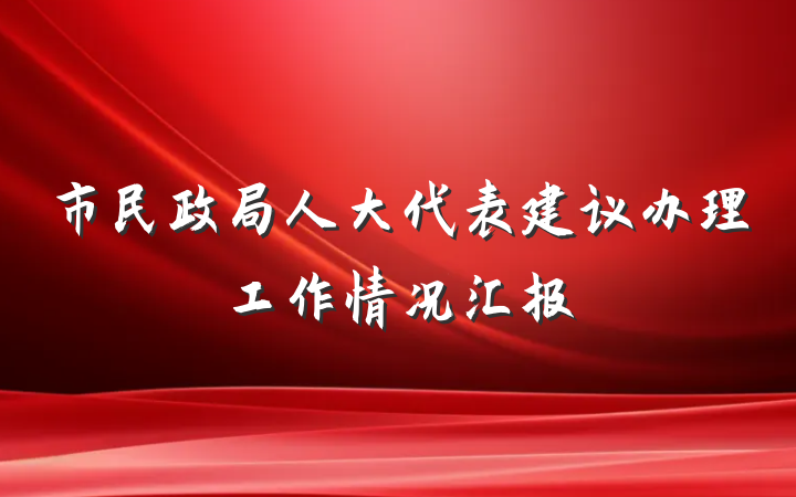 市民政局人大代表建议办理工作情况汇报