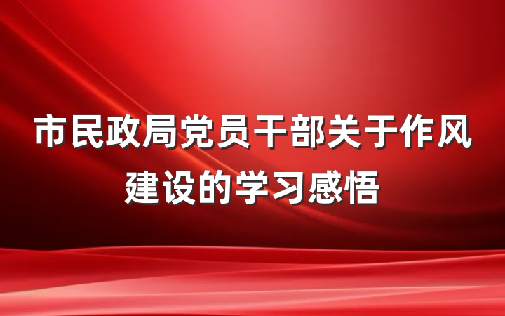 市民政局党员干部关于作风建设的学习感悟