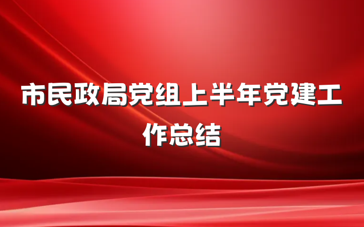 市民政局党组上半年党建工作总结
